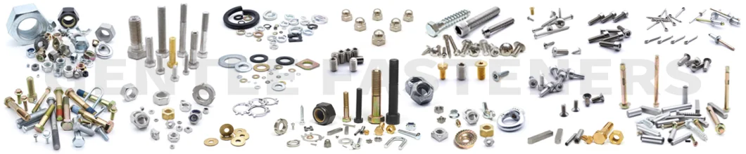 Stainless Steel Bolts/Hexagon Bolt and Nuts/Socket Bolt/Extra Long Bolt/U Bolt/Hex Flange Bolt/Allen Bolt /Carriage Bolt/Stud Bolts DIN933/DIN931/DIN6921/DIN912