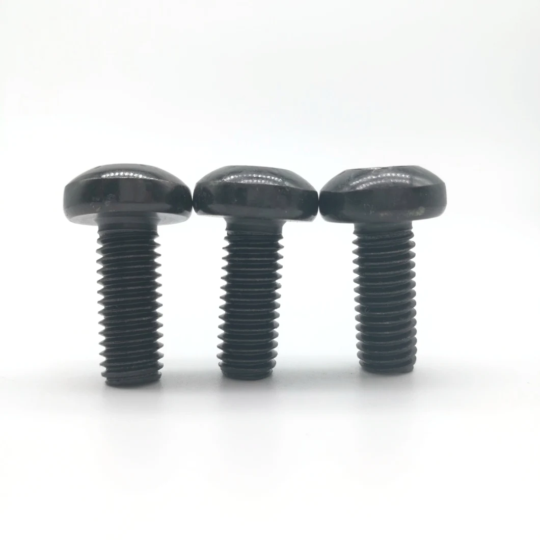 Torx Screw Pan Head Screws T30