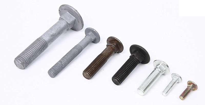 Carriage Bolt Mushroom Round Short Square Neck Head Bolt Coach Bolt Hex Bolt T Bolt U Bolt Toggle Bolt Anchor Bolt Screw Bolt Railway Bolts Lag Bolt in Stock